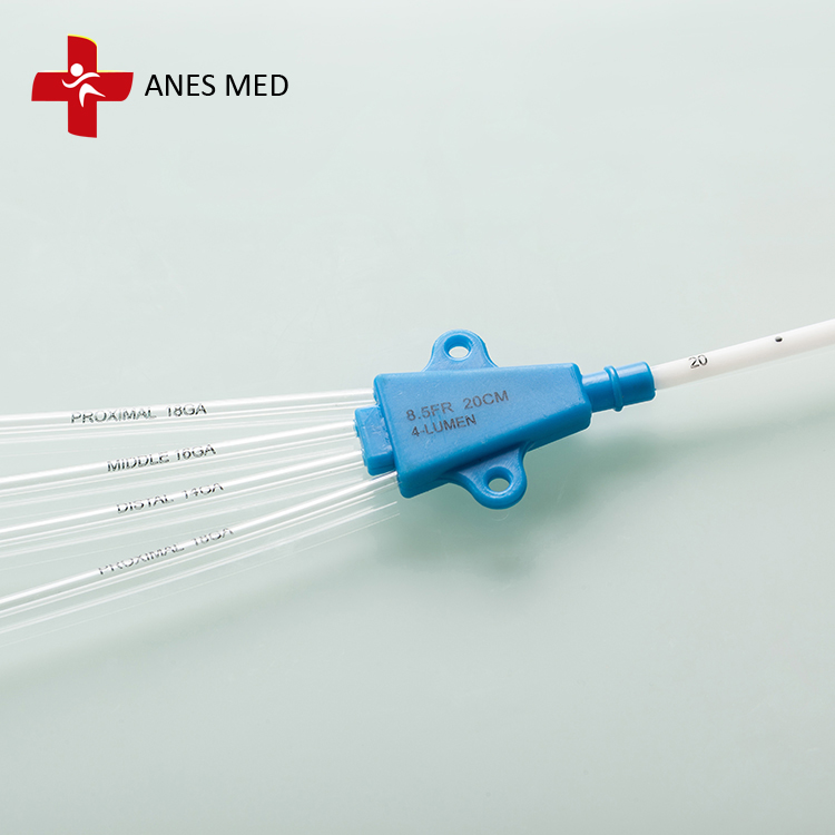 Central Venous Catheter.jpg