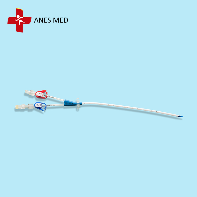 Double Lumen Hemodialysis Catheter.jpg