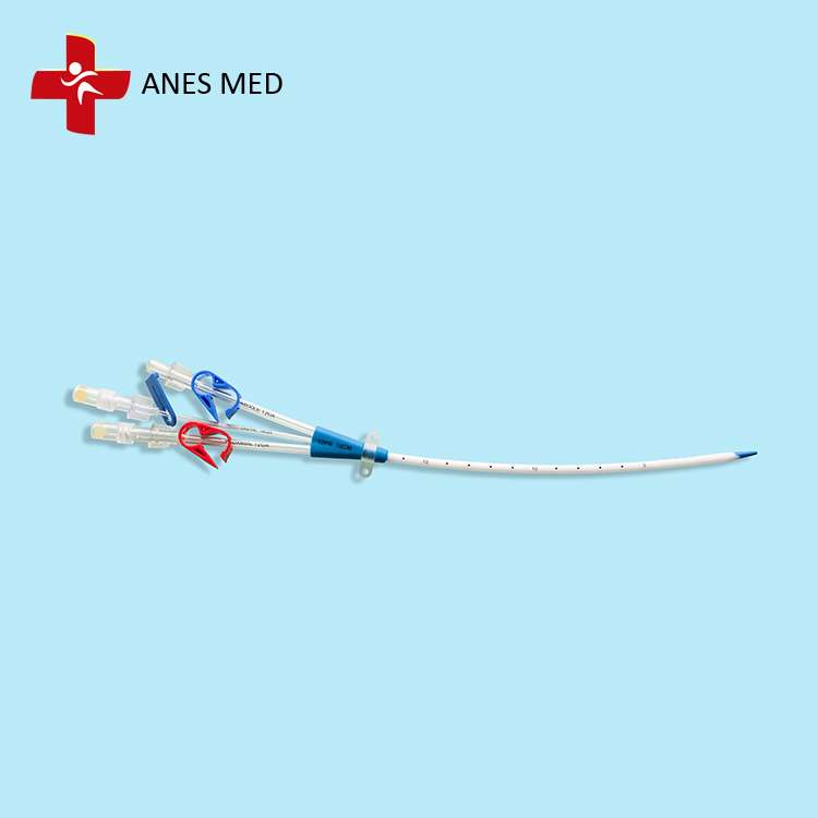 Double Lumen Hemodialysis Catheter.jpg