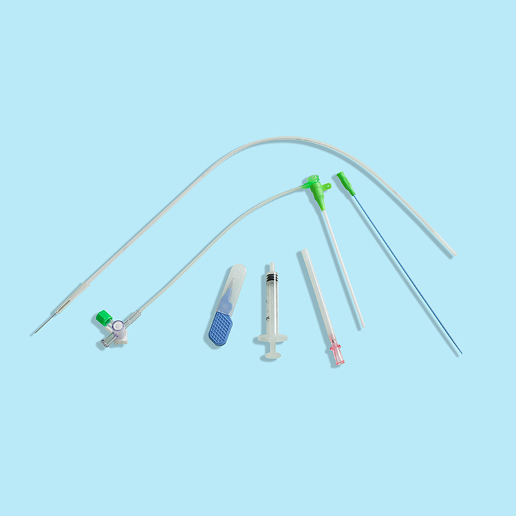 femoral INTRODUCER SHEATH kit