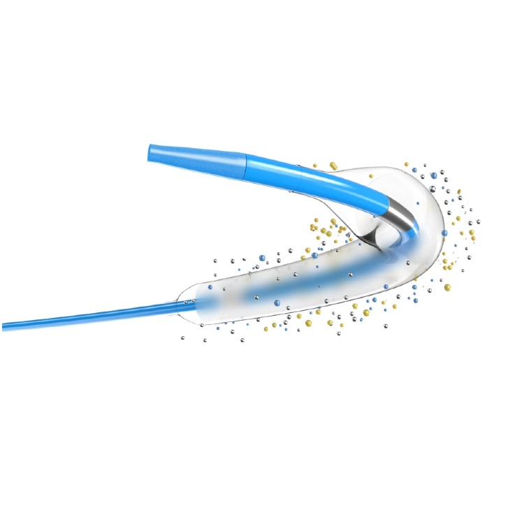 Peripheral Drug-Coated Balloon Dilatation Catheter