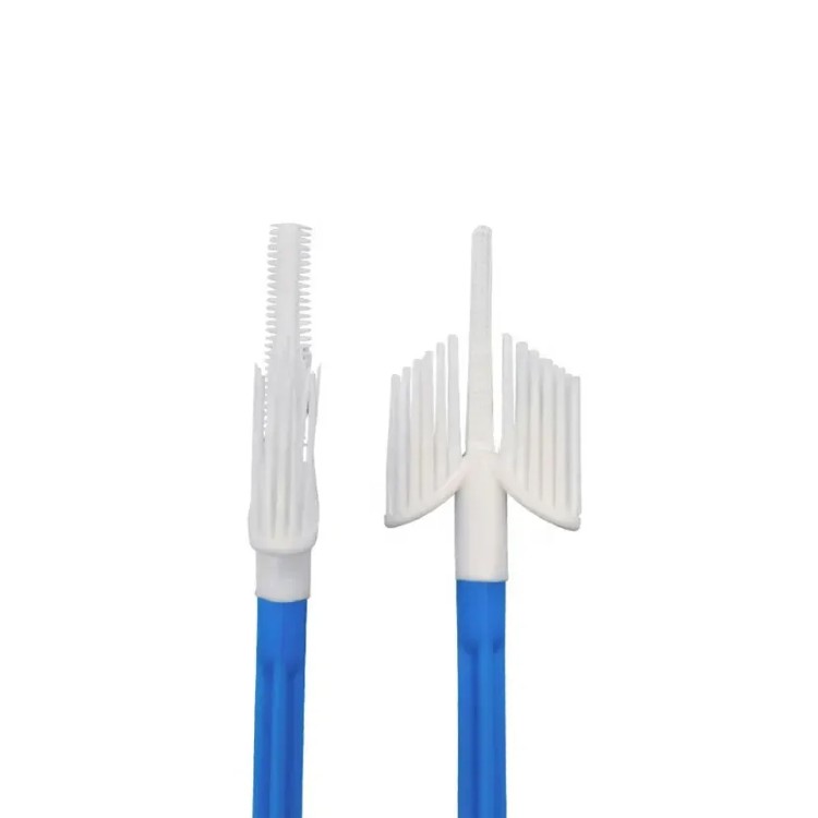 Medical Examination Cervical Cytology Brush